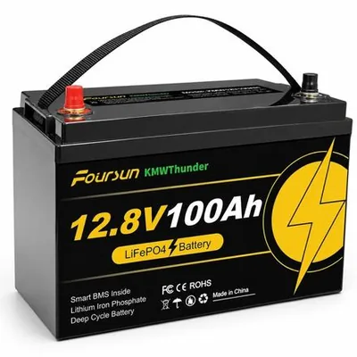 Акумулятор LiFePO4 12V 100Ah Акумулятор Foursun 1280Wh, 100A, з BMS платою — купити в Україні | VERTEA