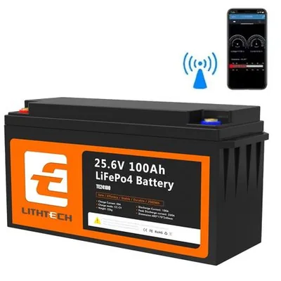 Акумулятор LiFePO4 24V 100Ah Акумулятор Lithtech з Bluetooth 2560Wh, 100A, BMS — купити в Україні | VERTEA