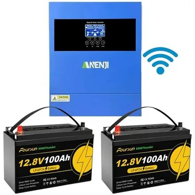 Комплект 4.2 кВт LiFePO4 Комплект резервного живлення Інвертор Anenji Wi-Fi 24 В + 2 акумулятора 12V 100Ah Foursun — купити в Україні | VERTEA